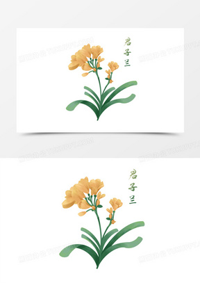 卡通手绘清新君子兰元素