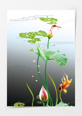 荷叶卡通图片大全大图