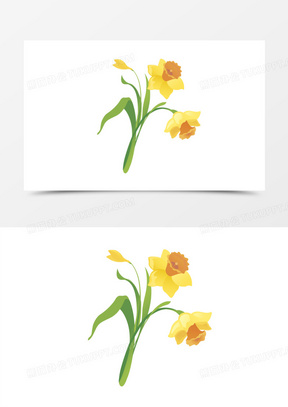 中国水仙花的图片唯美素材