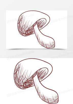 手绘香菇图片素材