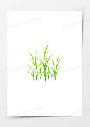 水稻大米图片素材