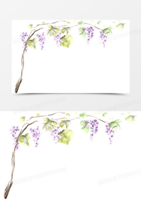 手绘紫色唯美葡萄藤条