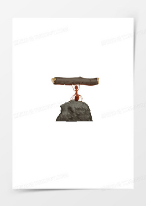 蚂蚁站在石头上举着树枝坚持