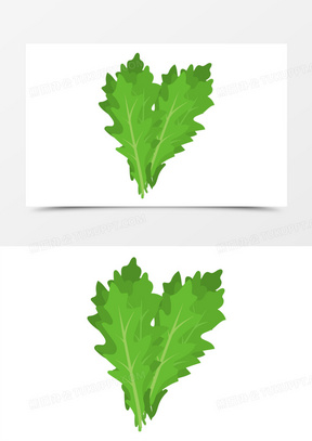 蔬菜芥兰图片高清真实