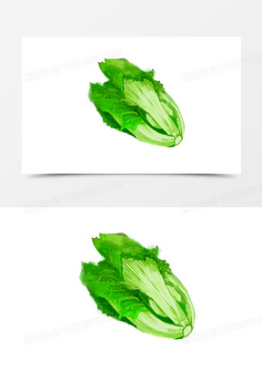 蔬菜芥兰图片高清真实