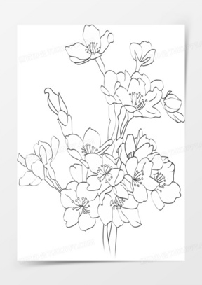 素描花朵图片大全大图高清_素描花朵图片简单唯美素材下载_熊猫办公