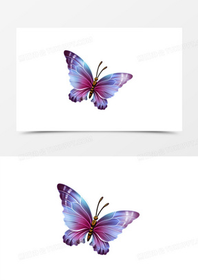 紫色蓝色翅膀蝴蝶
