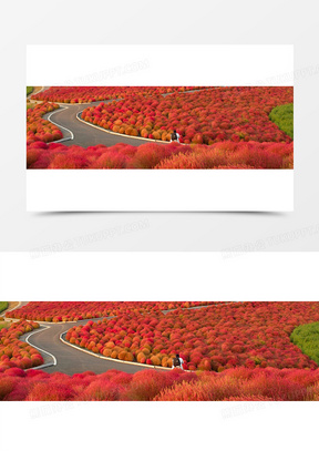 红色道路图片素材