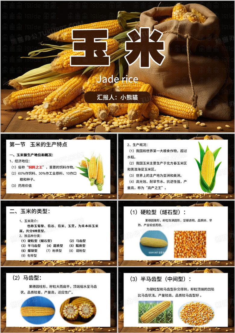 棕色简约风玉米PPT模板