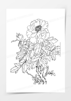 牡丹花古风素材