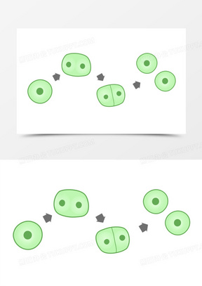 细胞卡通图片素材