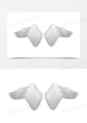 翅膀白色翅膀天使精灵装饰