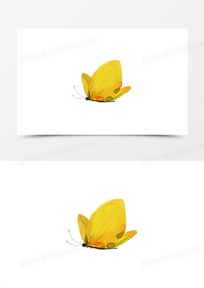 黄蝶的画法图片