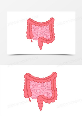 卡通腸道圖片素材