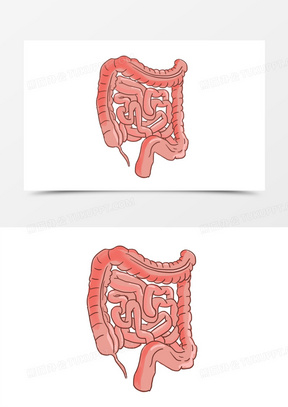 手绘消化系统肠道卡通元素