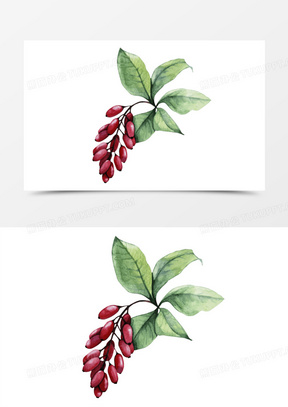 手绘  卡通 红豆