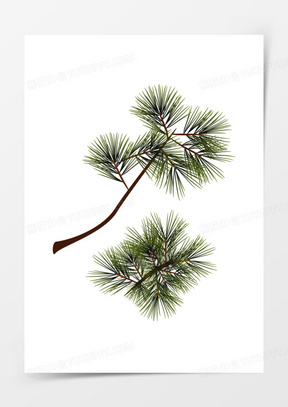 松树与叶子