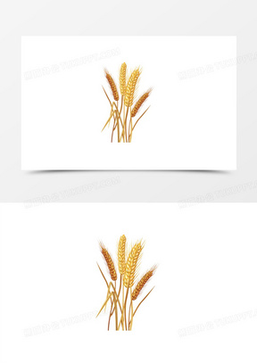 麦穗图片设计logo素材_麦穗图片大全大图高清_熊猫办公