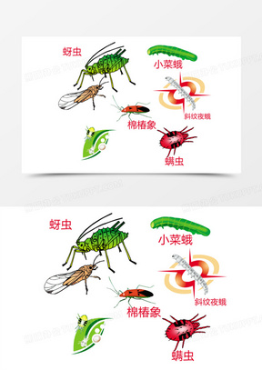 农药图片卡通可爱简笔画