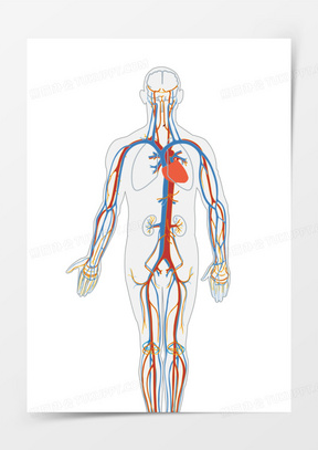 血液图片素材卡通下载_血液图片示意图高清大图大全_熊猫办公