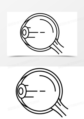 眼球的结构图标