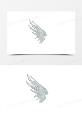 白色的天使翅膀