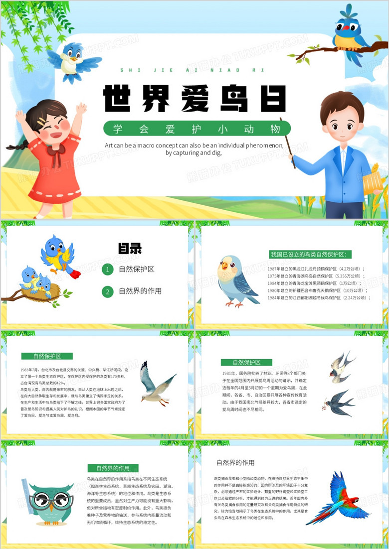 绿色卡通风世界爱鸟日PPT模板