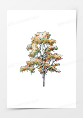 手绘立面树木贺卡