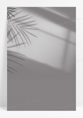 110家居自然光影窗户植物台灯投影背景1502自然光影阳光照射窗户投影