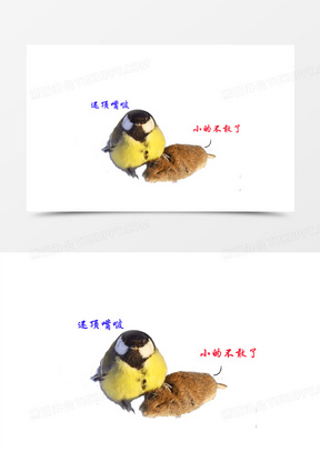 包20可爱搞笑的新人10卡通可爱蜜蜂采蜜萌搞笑10京东搞笑剃须刀广告30