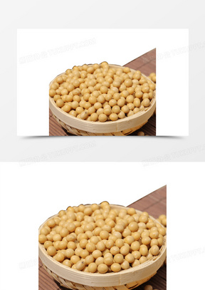 小豆子图片素材