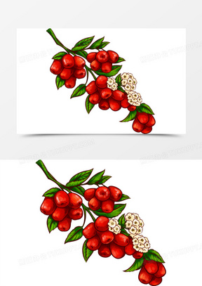 红枣手绘图片素材