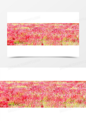 绚丽红色花海海报背景