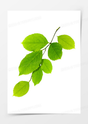 春天唯美图片高清_春天唯美图片浪漫清新意境下载_熊猫办公