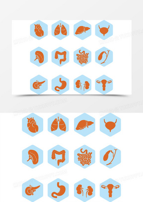 五脏六腑内脏图标矢量44512人体器官图标976人体器官图标与血滴41女性