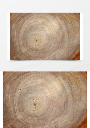 木纹年轮背景