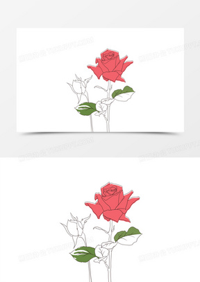 线稿花图片素材