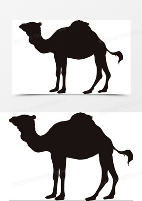 单峰骆驼剪影图片大全高清