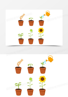 向日葵种植流程简笔画图片