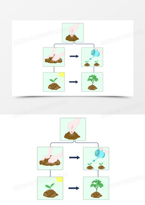 一组卡通播种过程免抠元素