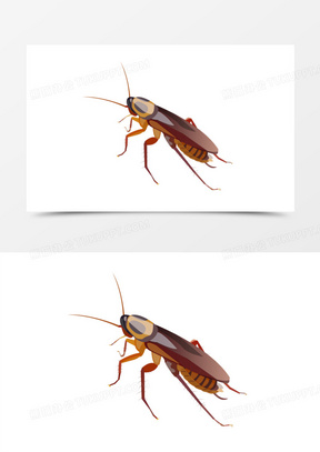 矢量手绘蟑螂害虫动物昆虫素材