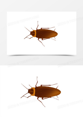 卡通害虫蟑螂免抠元素