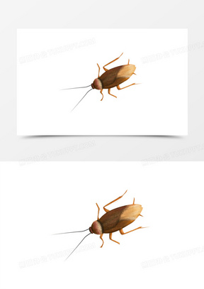 卡通蟑螂害虫免抠元素