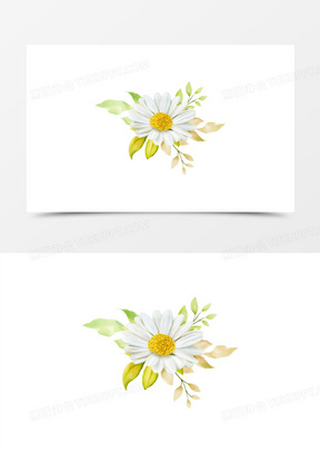 手绘水彩风小雏菊免抠元素