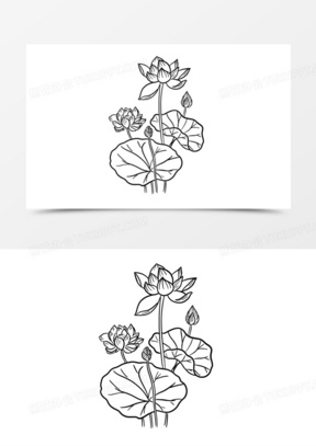 手绘线描荷花元素