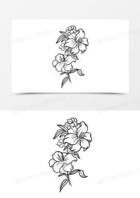 手绘线描花卉元素