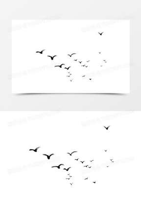 黑白色大雁群南飞