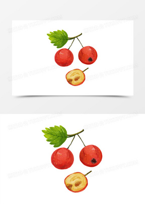 一组手绘水彩插画风水果套图之山楂元素
