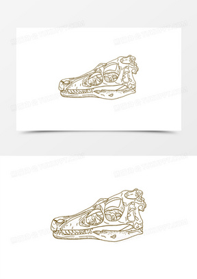 一组手绘线稿线描风恐龙骨骼化石元素