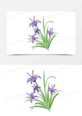手绘卡通一簇马兰花免抠元素